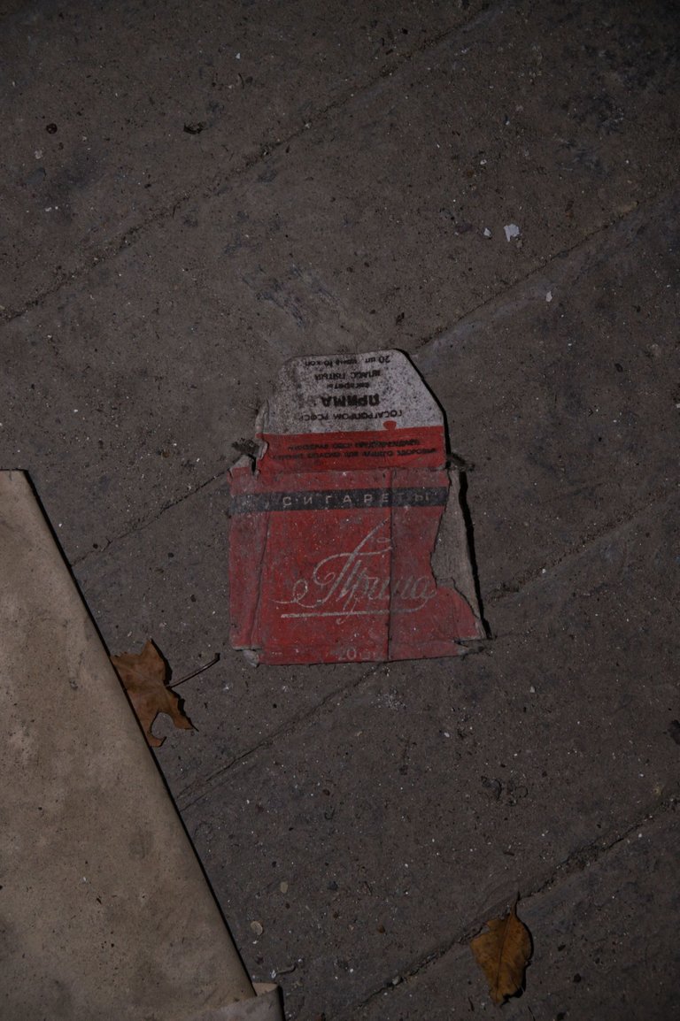 _DSC2307.jpeg