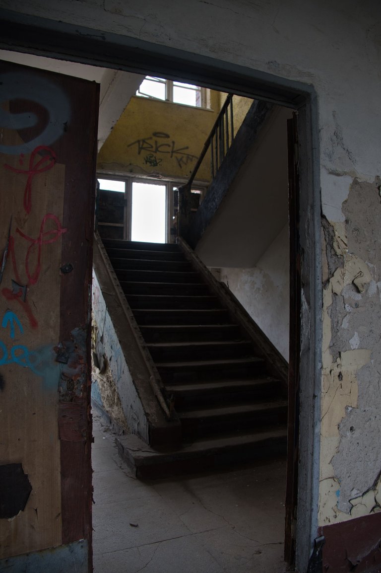 _DSC2347.jpeg