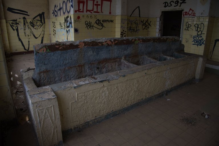 _DSC2354.jpeg