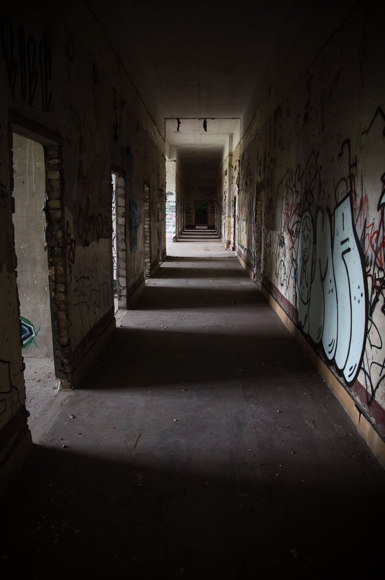 _DSC2316.jpeg
