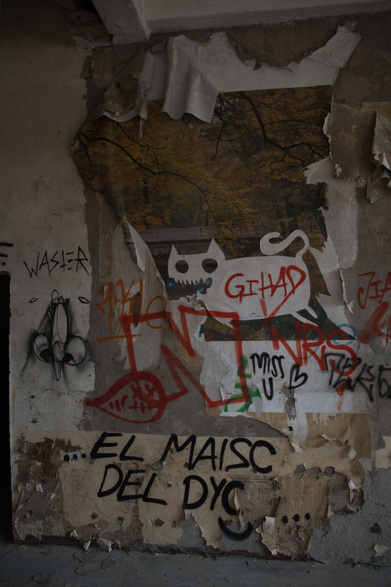 _DSC2320.jpeg