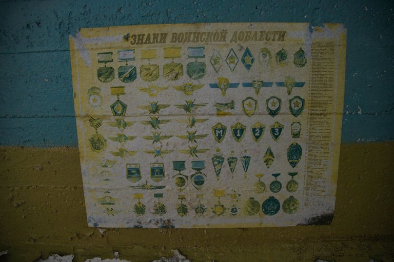 _DSC2380.jpeg