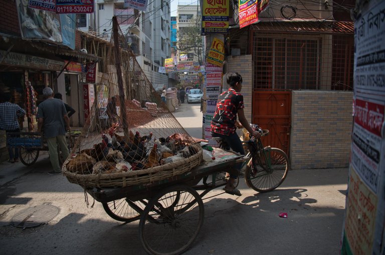 _DSC7738.jpeg