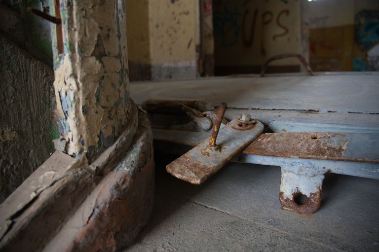_DSC2293.jpeg