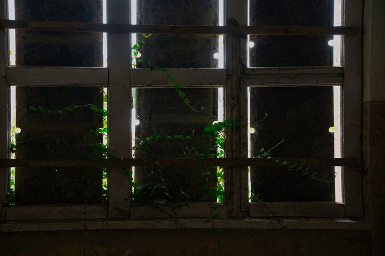 _DSC2389.jpeg