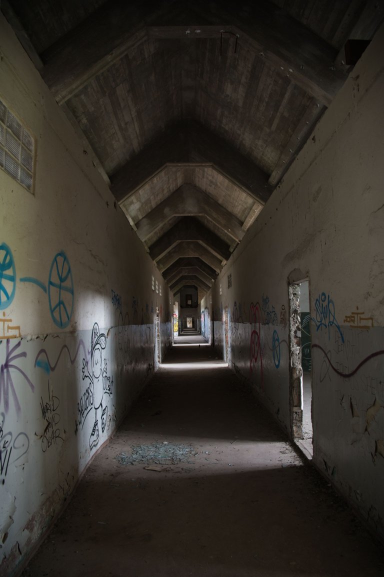 _DSC2361.jpeg