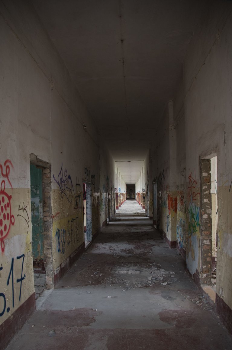 _DSC2360.jpeg
