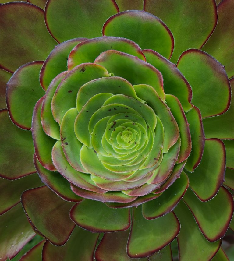_DSC4149.jpeg