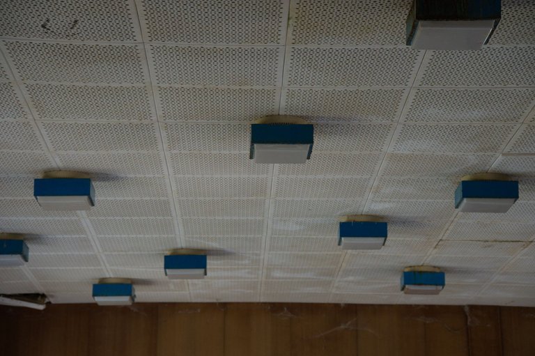 _DSC2948.jpeg