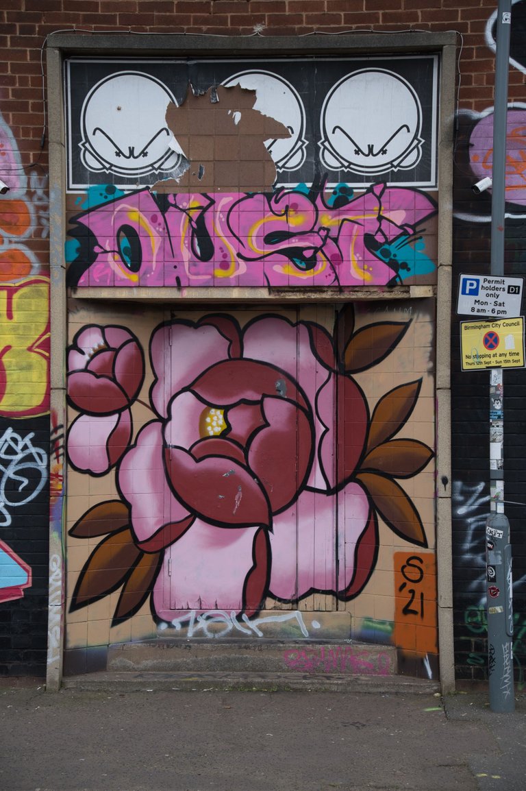 _DSC0266.jpeg
