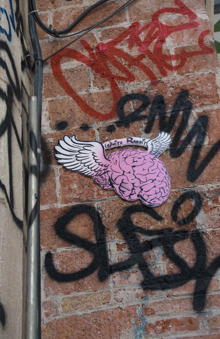 _DSC1973.jpeg