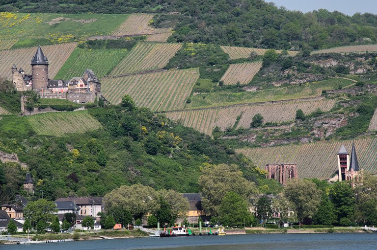Stahleck Castle
