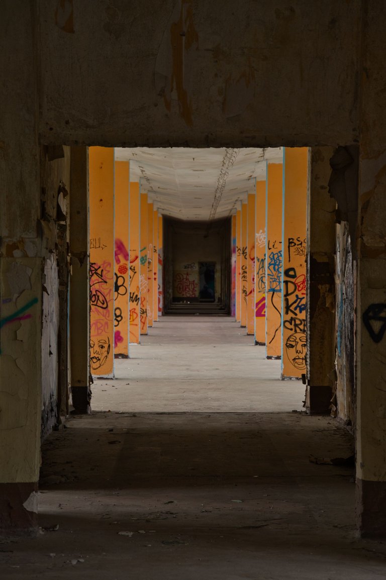 _DSC2355.jpeg