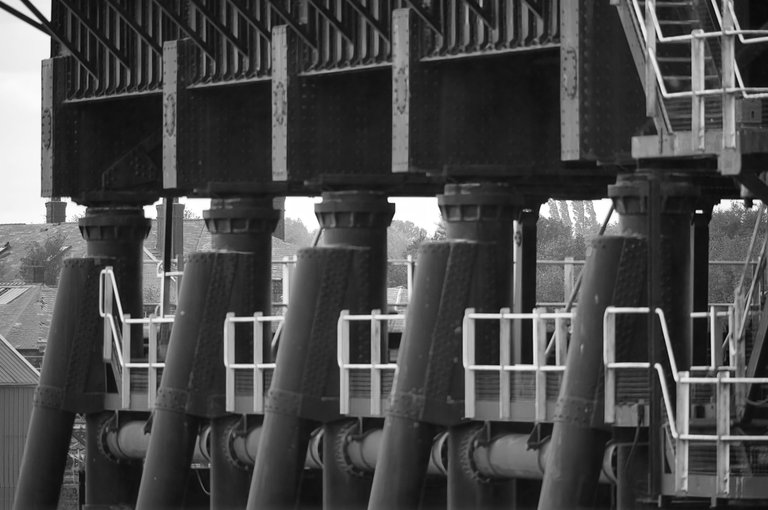 _DSC4496.jpeg