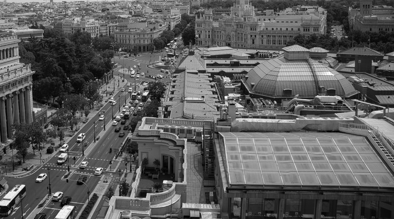_DSC2296.jpeg