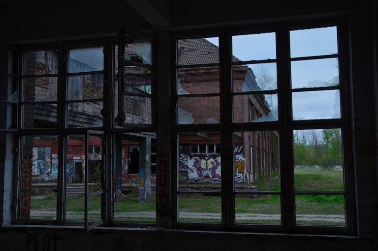 _DSC2342.jpeg