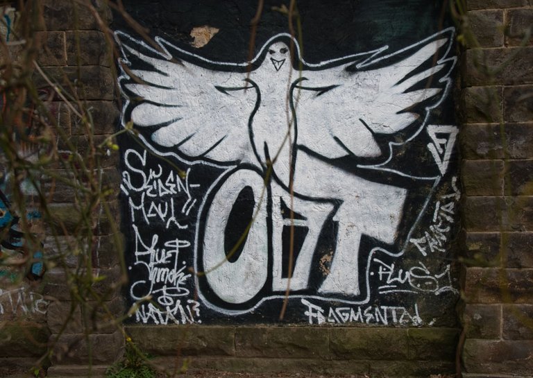 _DSC1599.jpeg
