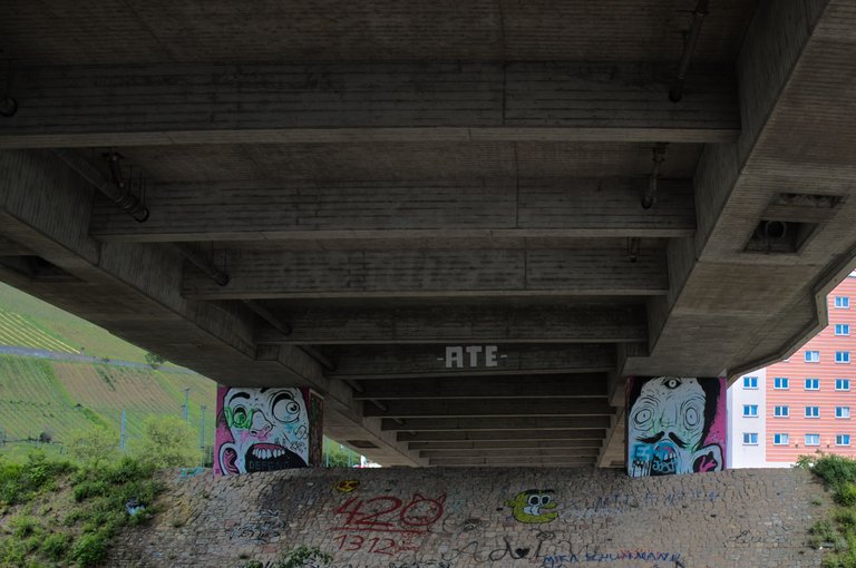 _DSC0554.jpeg