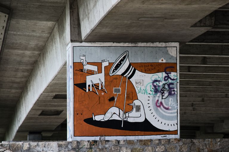 _DSC0552.jpeg