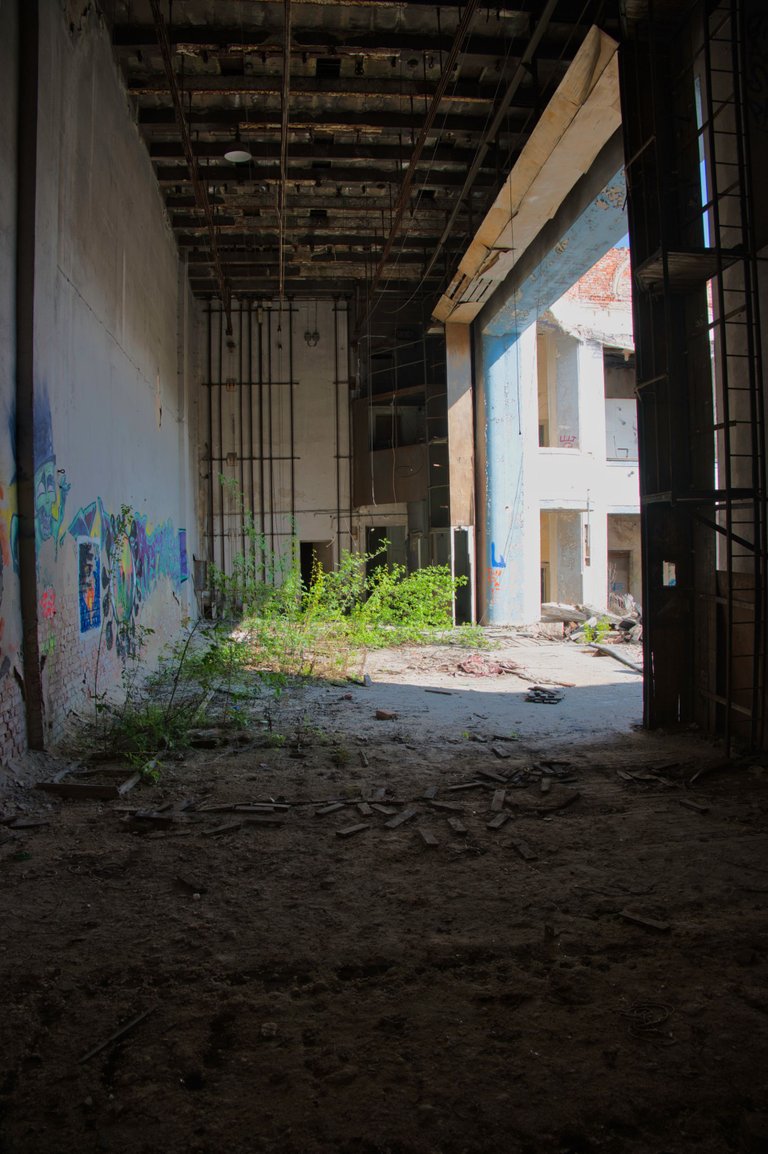 _DSC2841.jpeg