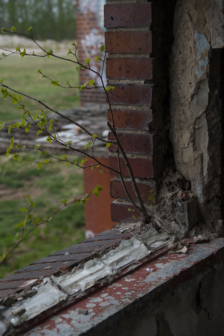 _DSC2308.jpeg