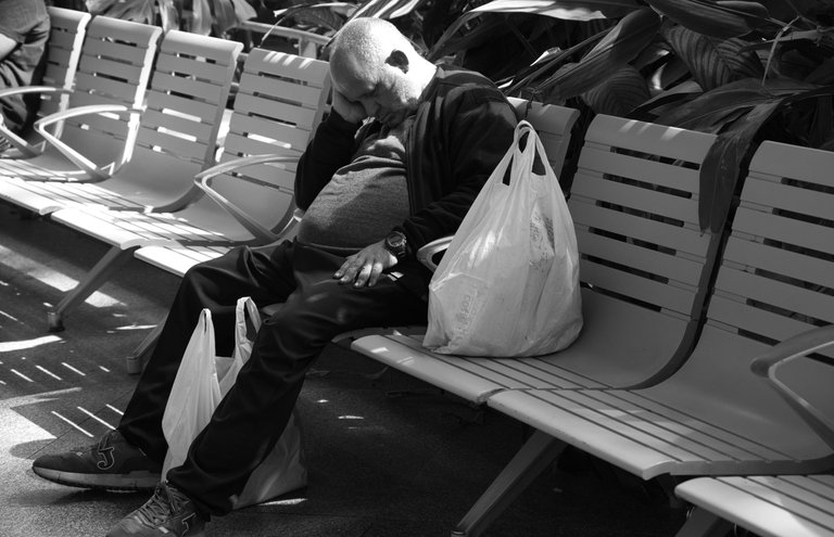 _DSC2282.jpeg