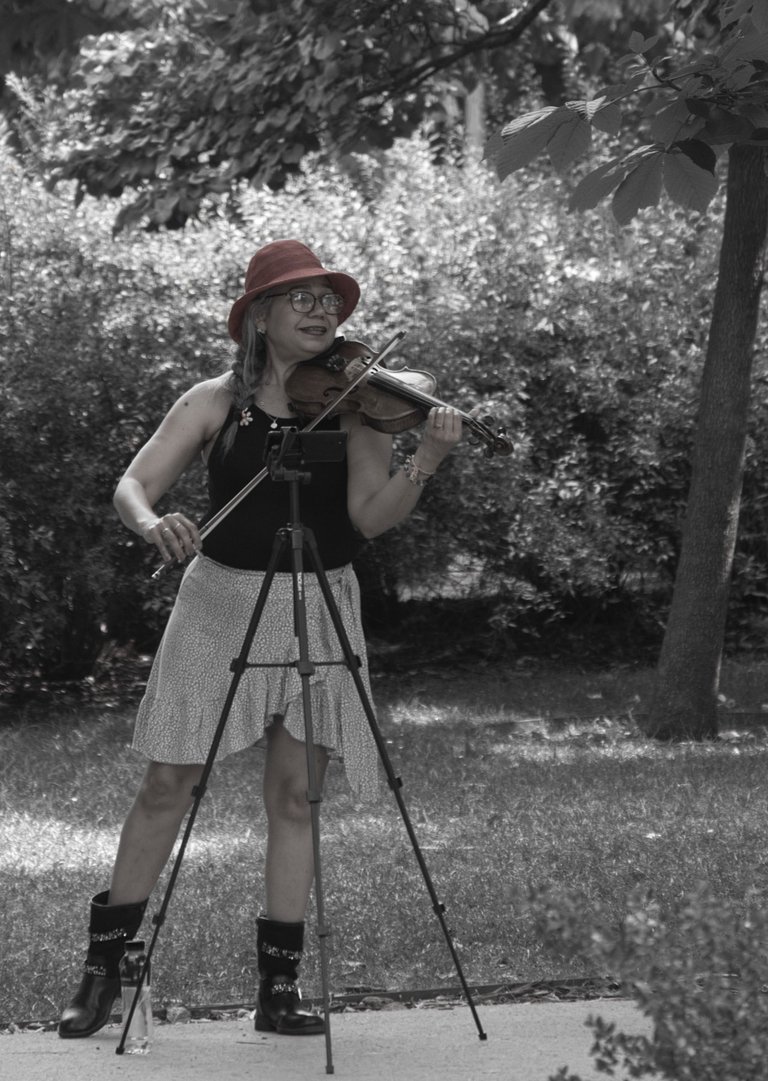 _DSC2287.jpeg