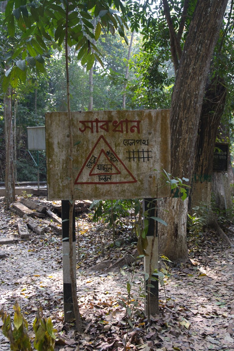 "Caution Railway"