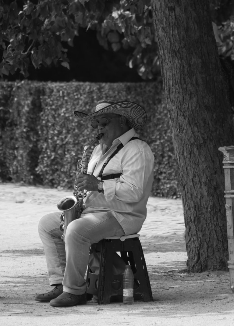 _DSC2289.jpeg