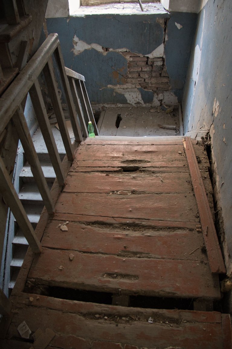 _DSC6261.jpeg