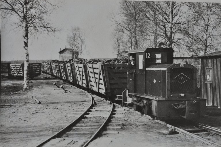 Tukkturba-valjavedu-rabast.-Fotograaf-ise-on-juhtimise-ule-votnud-foto-1954.a-Kalju-Nurk-scaled.jpg