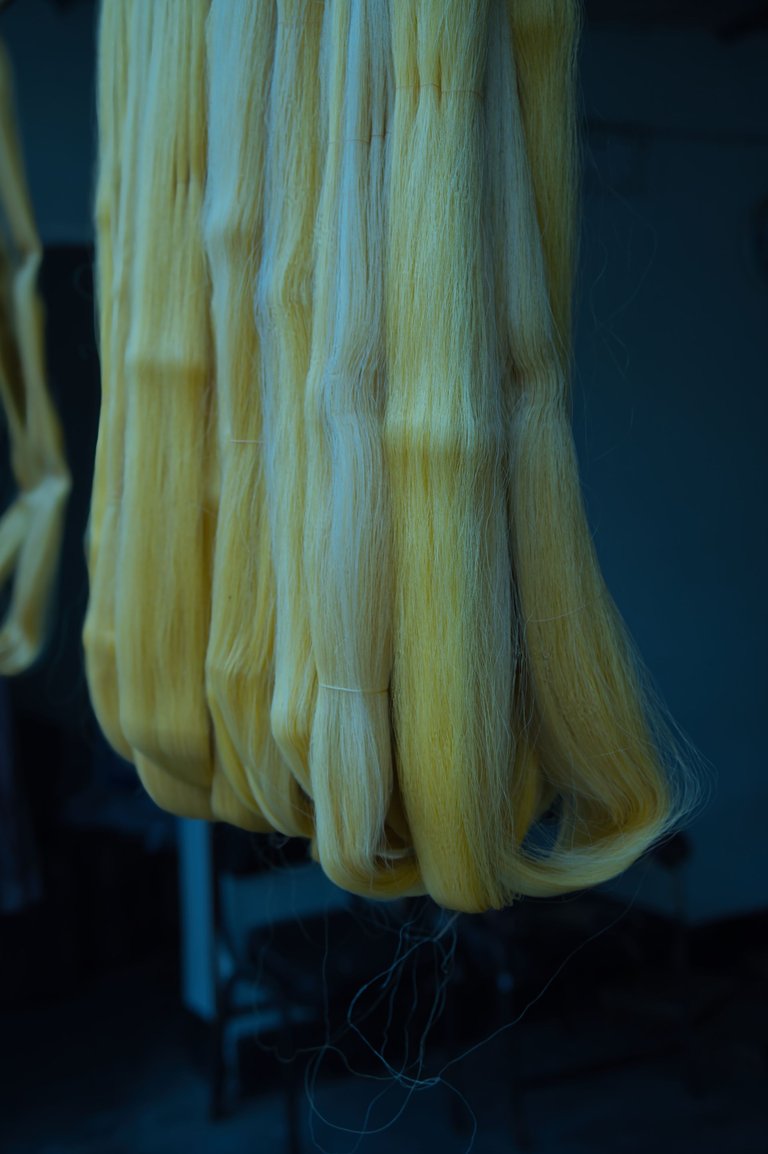 silk6.jpeg