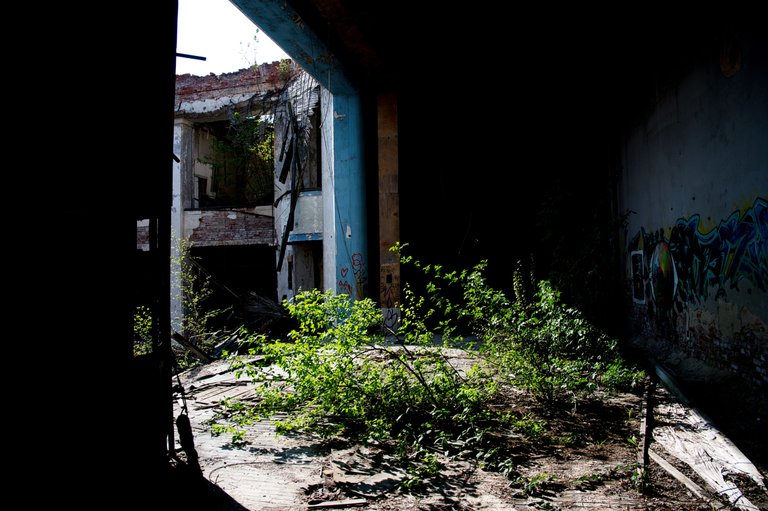 _DSC2838.jpeg