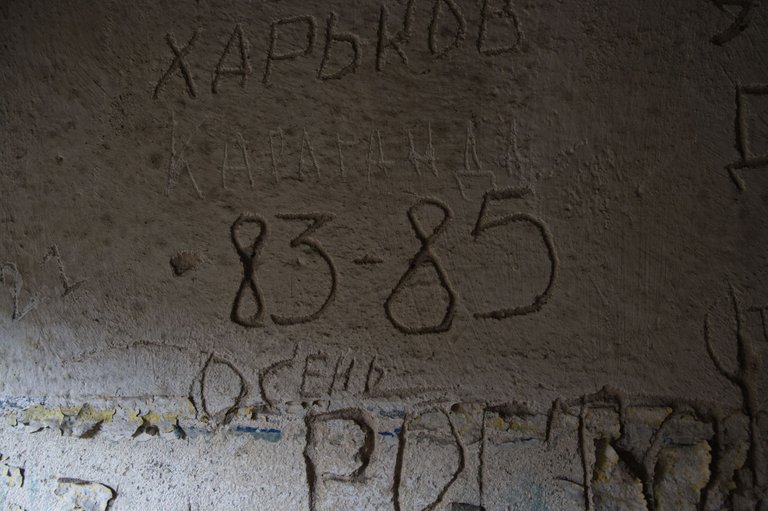 _DSC2335.jpeg