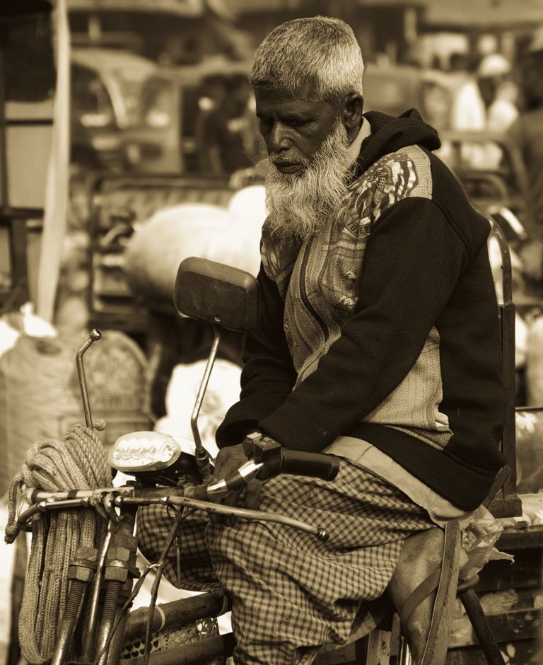 _DSC7237.jpeg
