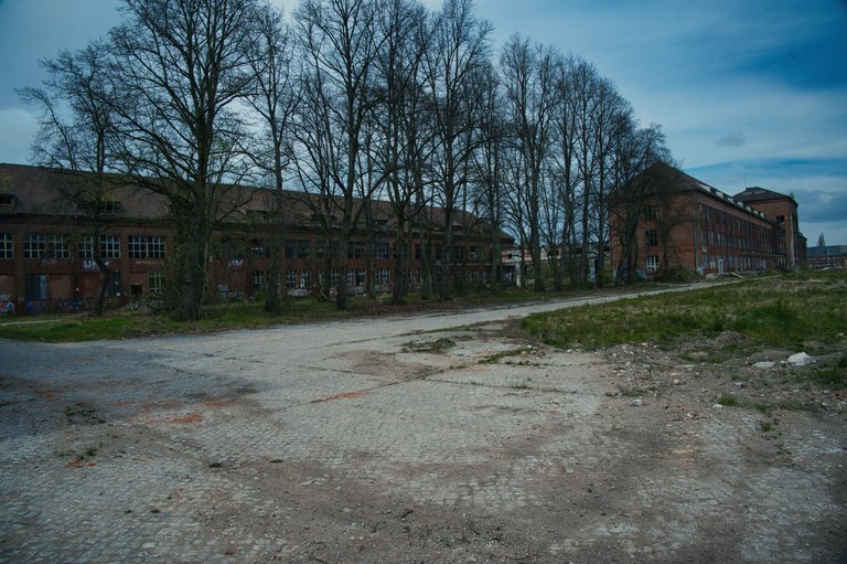 _DSC2376.jpeg