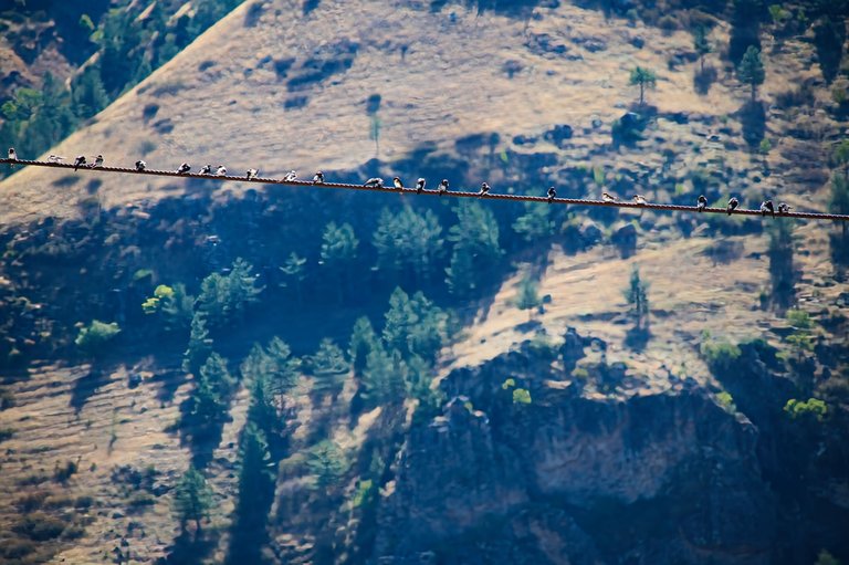 _DSC6733.jpeg