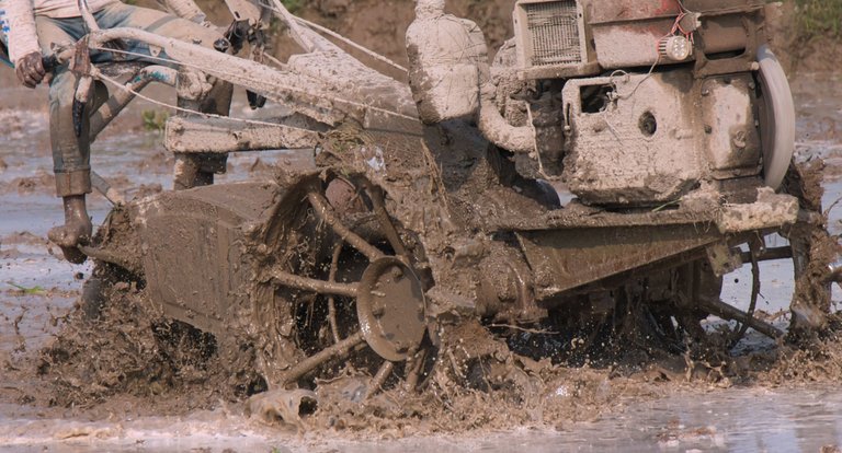 Even sturdier
