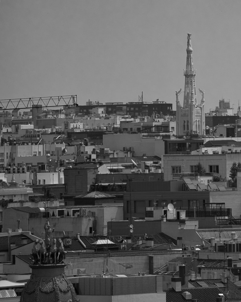 _DSC2302.jpeg
