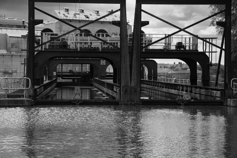 _DSC4512.jpeg