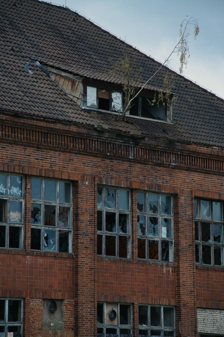 _DSC2338.jpeg