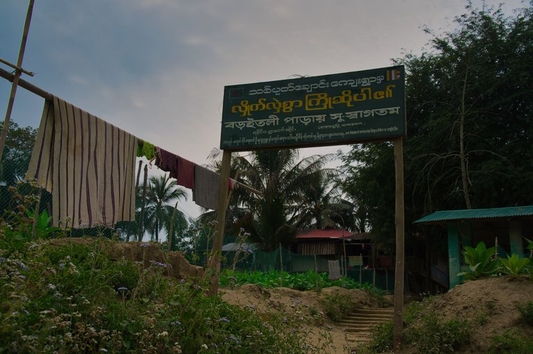 _DSC7718.jpeg