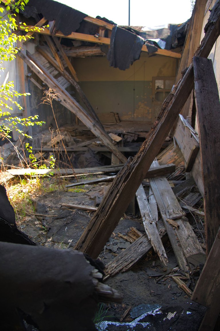 _DSC2813.jpeg