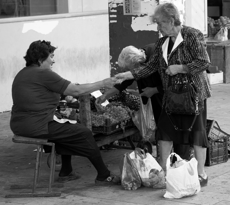 _DSC7103.jpeg