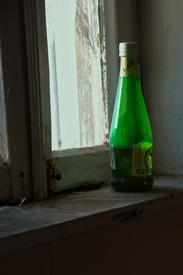 _DSC6254.jpeg