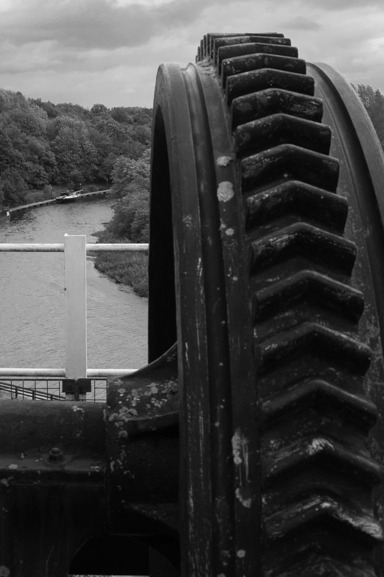 _DSC4509.jpeg