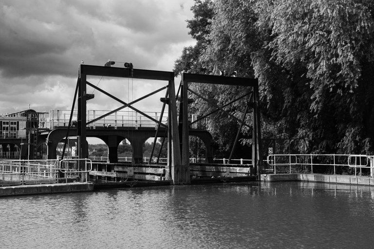 _DSC4493.jpeg