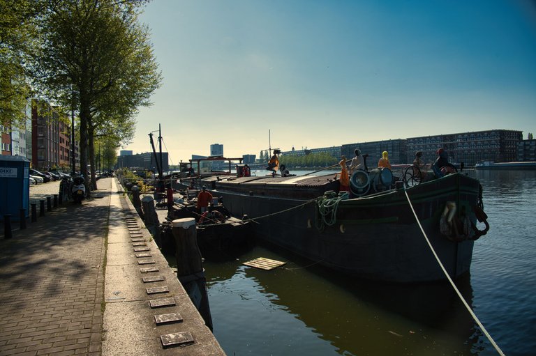 _DSC0186.jpeg