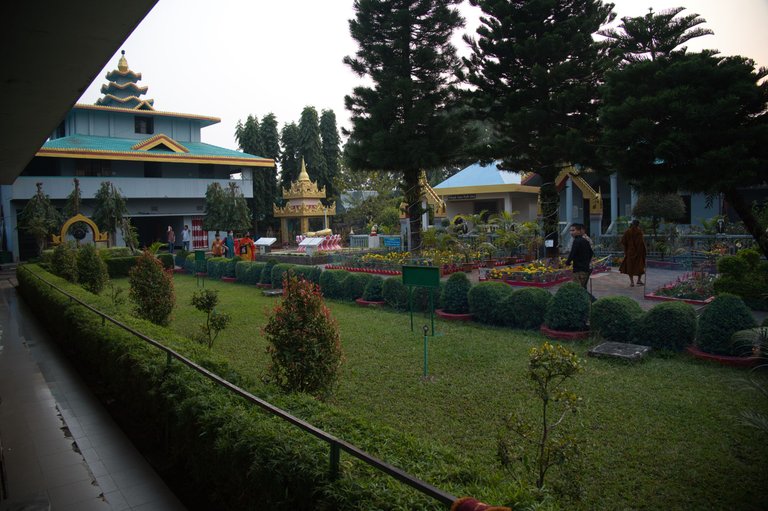 _DSC7550.jpeg