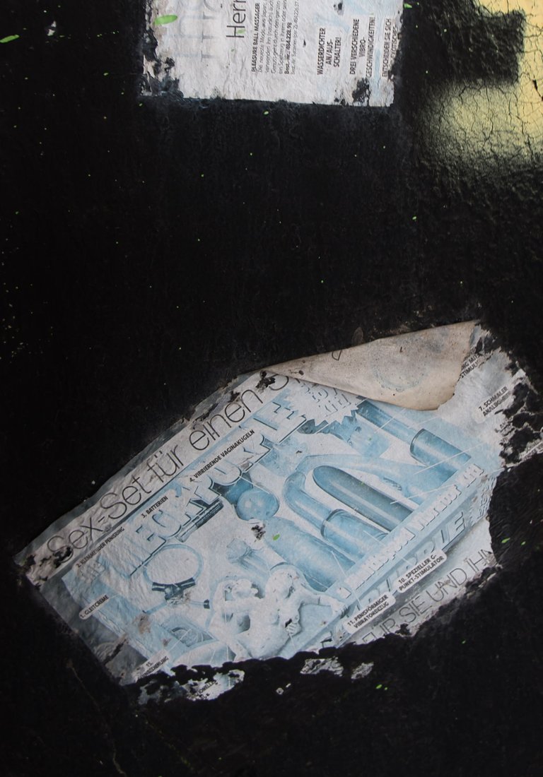 _DSC2322.jpeg